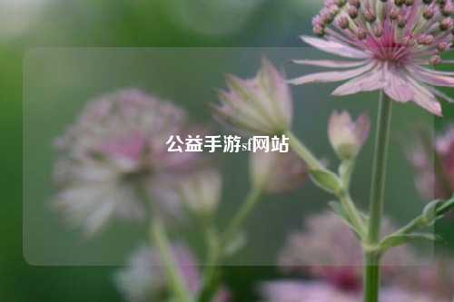 公益手游sf网站