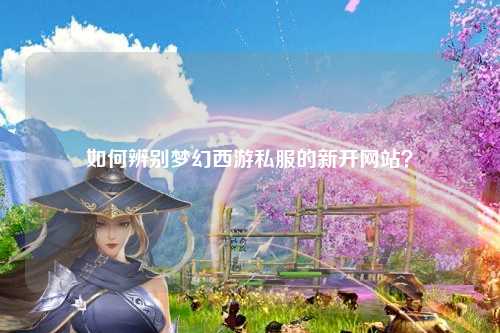 如何辨别梦幻西游私服的新开网站？